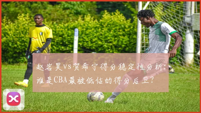 赵岩昊vs贺希宁得分稳定性分析：谁是CBA最被低估的得分后卫？